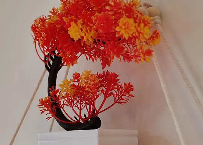 Brunarica Dolce 85 * Brežice